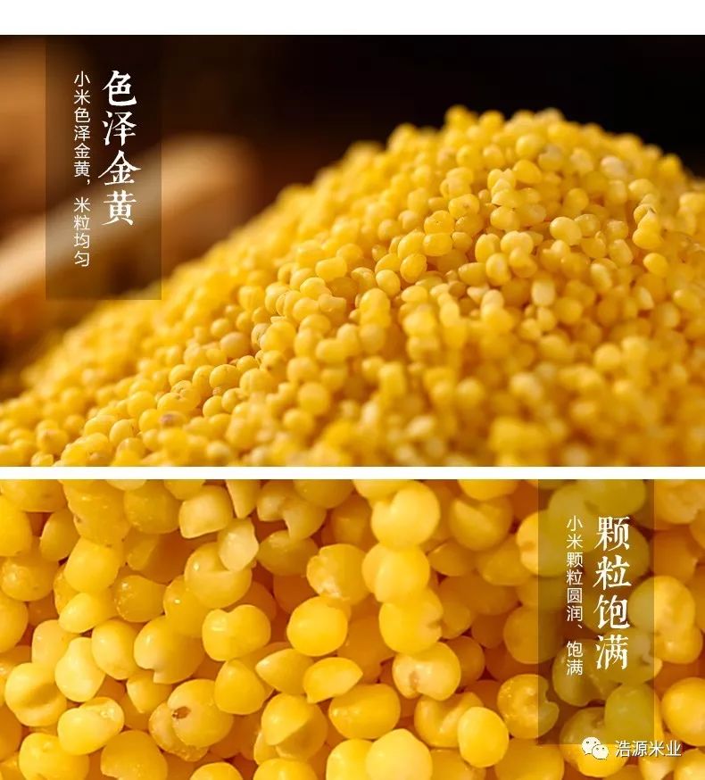 南阳小米黄酒,小米黄酒的制作方法