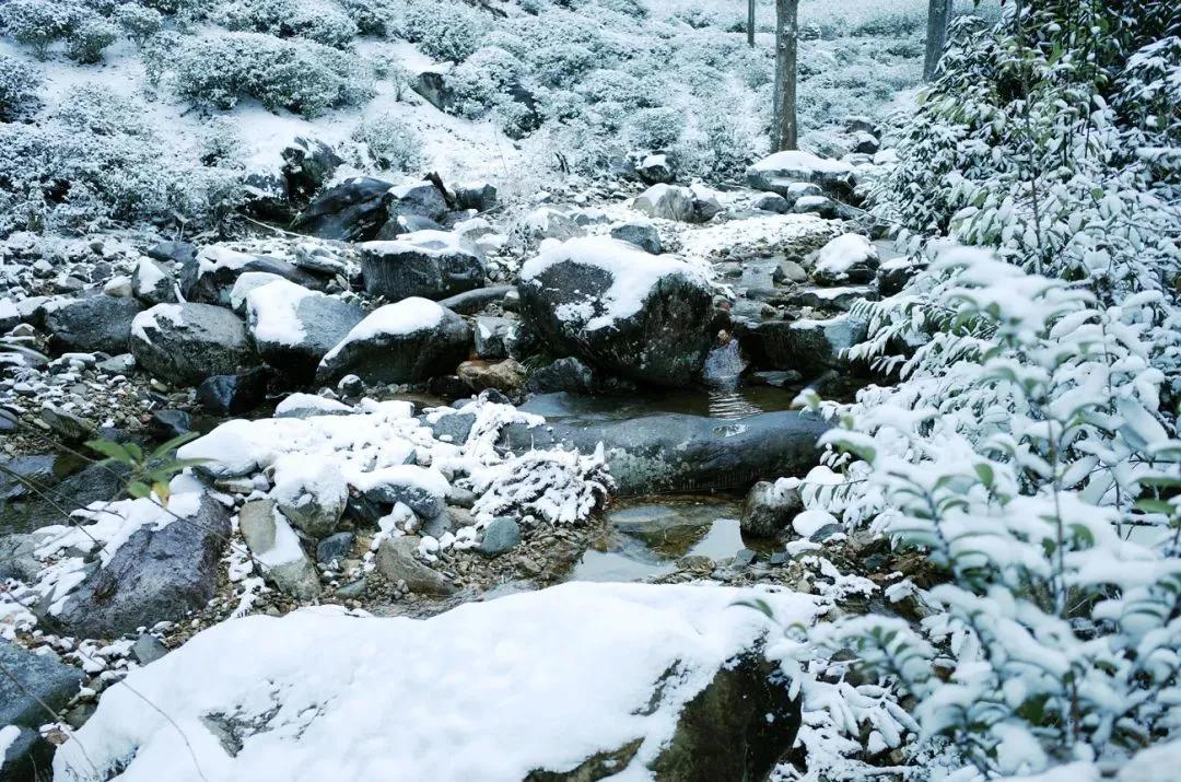 泡茶用水怎么选择比较好,泡茶的水应该选择什么标准