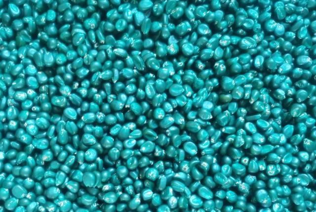 玉米种子一斤多钱,玉米种子6块一斤