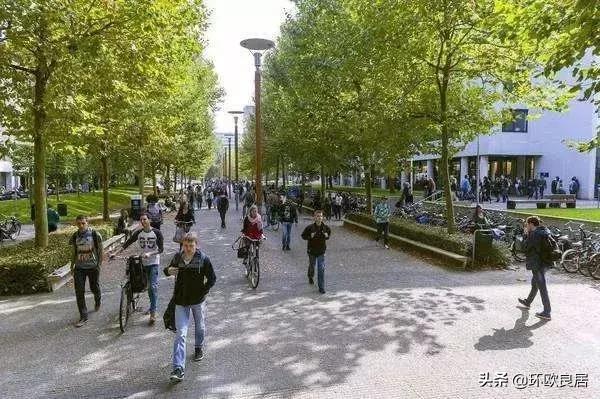 荷兰留学回国认可度,留学荷兰硕士多少钱