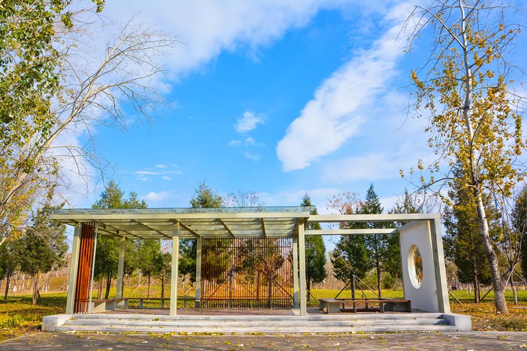 春意盎然北京五大公园,北京区级综合性公园