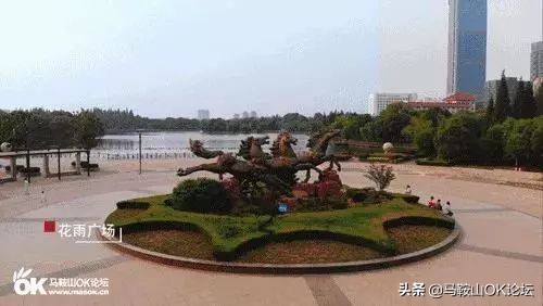 马鞍山科目三考试报告不合格,2019马鞍山质检数学答案