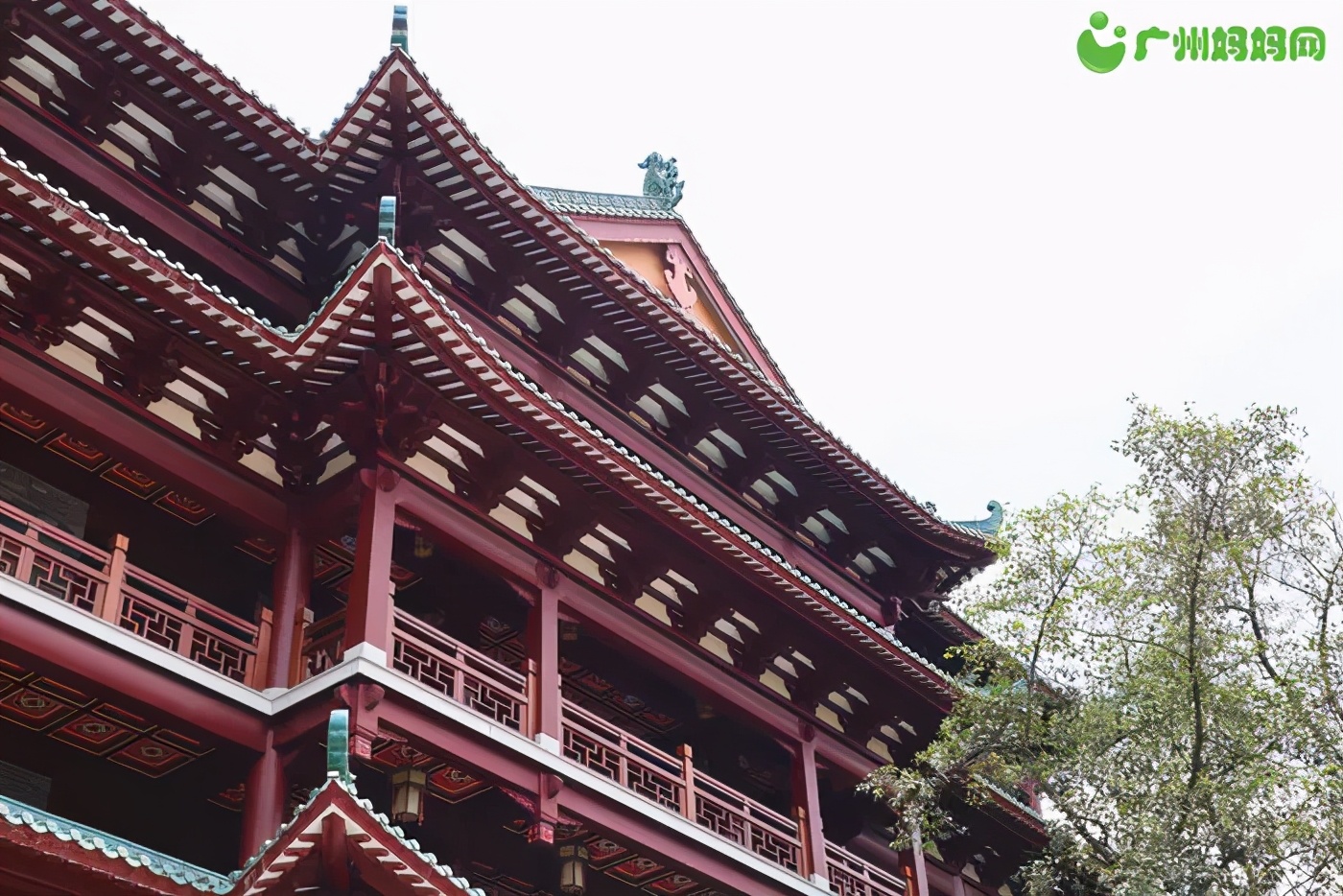 广州市二宫改造,广州二宫拆迁有哪些