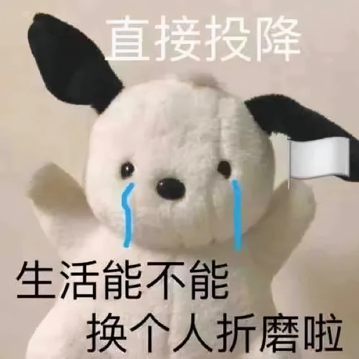 被王思聪嘲讽的劳斯莱斯,劳斯莱斯特别版王思聪