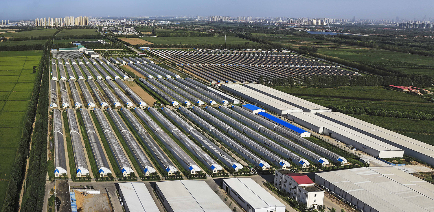 这是我的村庄,北辰区双街镇双街村