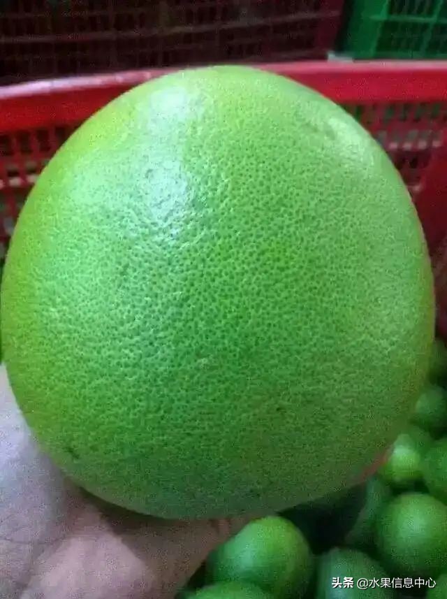 国内好吃的热带水果有哪些,小众水果推荐