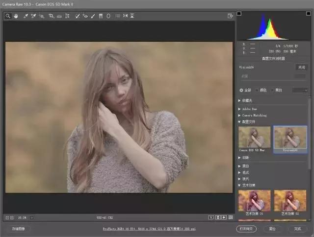 pscameraraw滤镜局部调色思路,利用ps的cameraraw进行画面调色