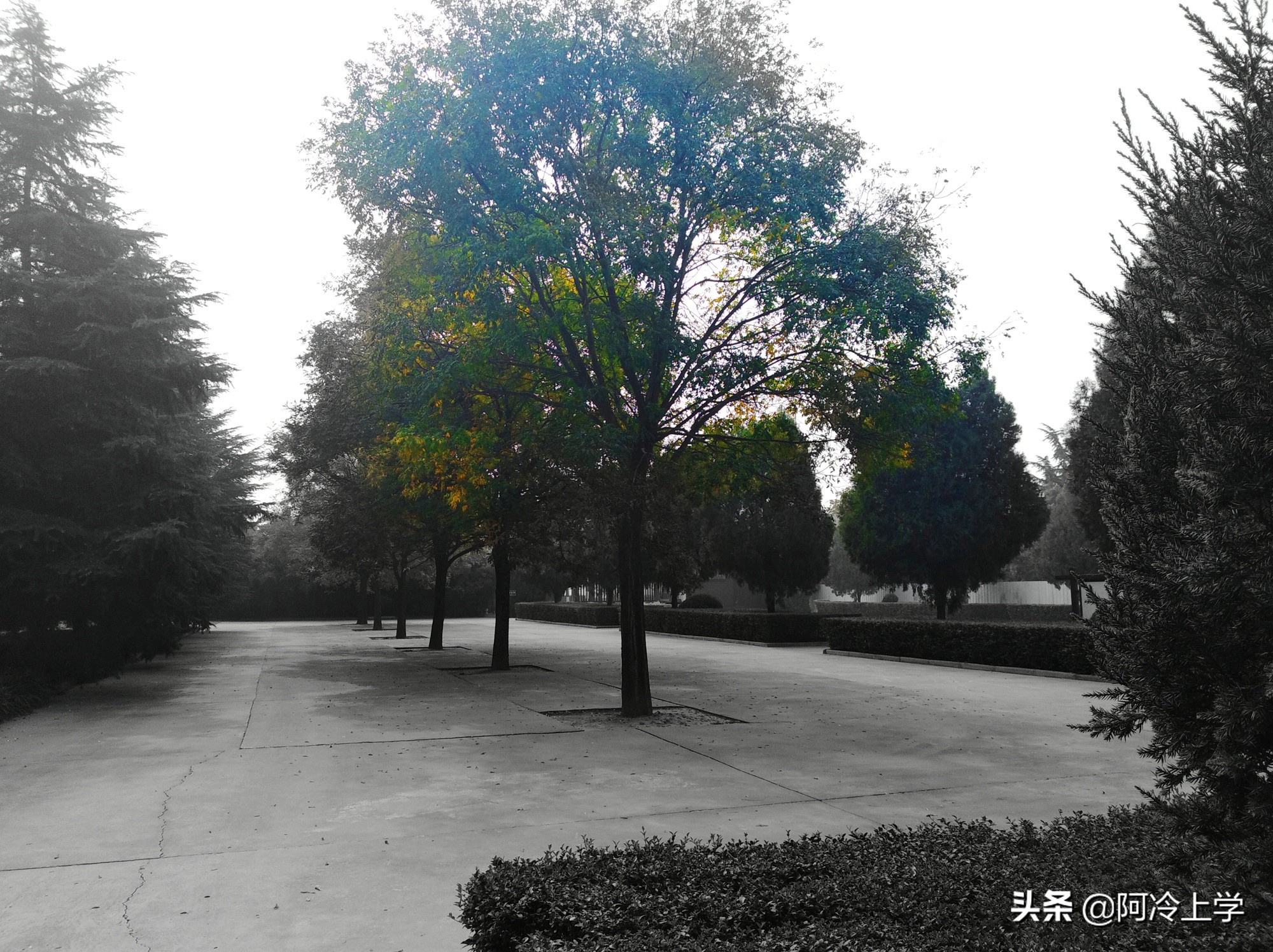 爱的教育授奖仪式,爱的教育的颁奖典礼读后感