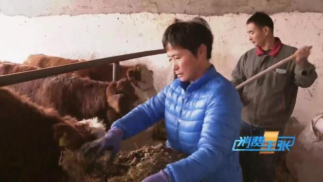 牛肉批发价最新价格,牛肉价格补贴最新消息