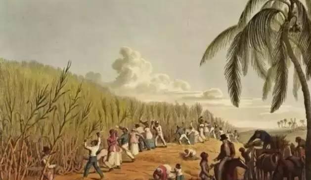 为什么朗姆酒被誉为海盗之酒,朗姆酒被称为海盗之酒的原因