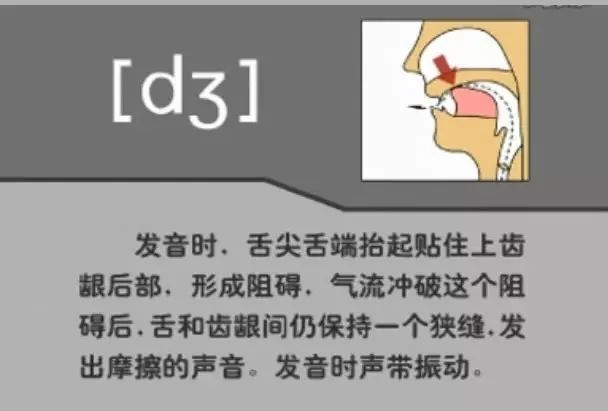 英语音标发音表48个音标正确读法,英语干货48个音标快速记忆法下