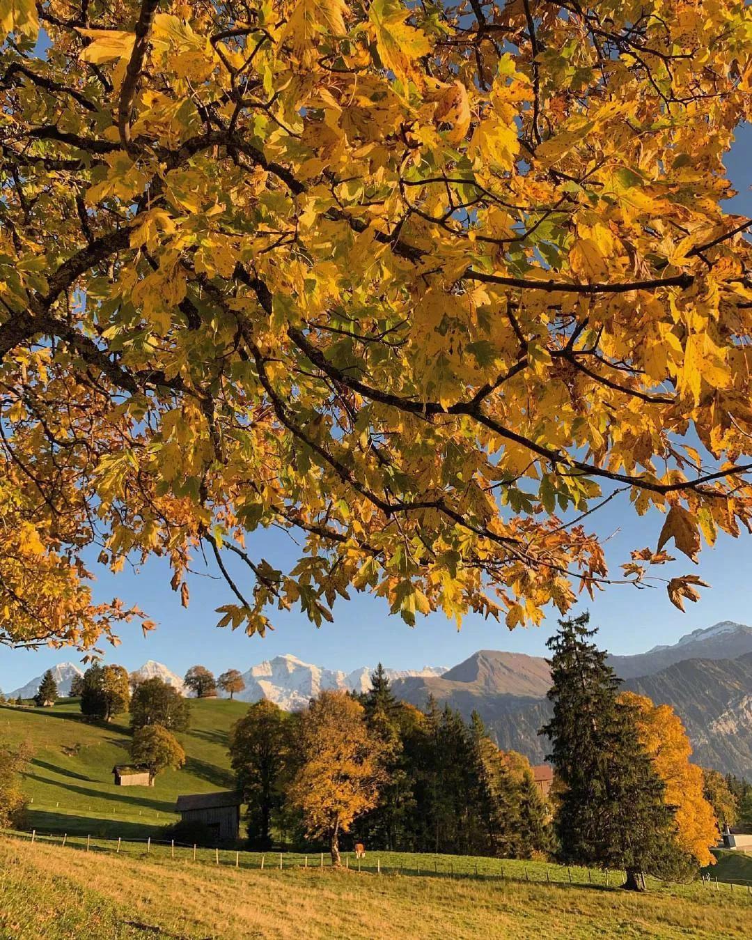 手机壁纸瑞士风光,瑞士风光全面屏壁纸