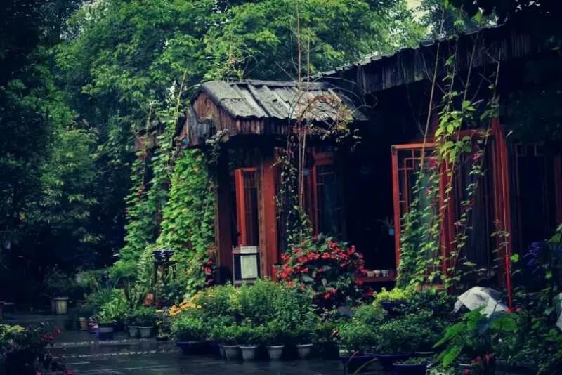 閫熷害鎵撳崱,閫熷害鎵撳崱鎷嶇収