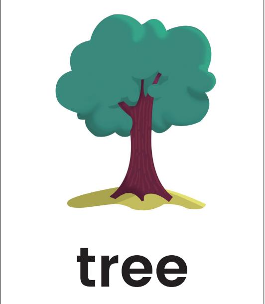 单词记忆小卡片怎么记单词,单词记忆法电子单词卡