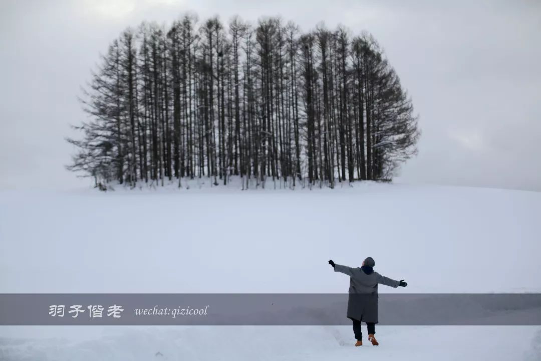日本10天自由行费用北海道,东京北海道5日自由行攻略