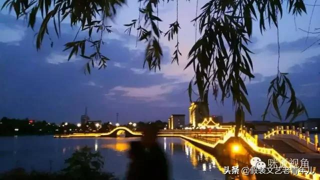 卫辉人那些昼思夜想的桥!究竟有何魔力?