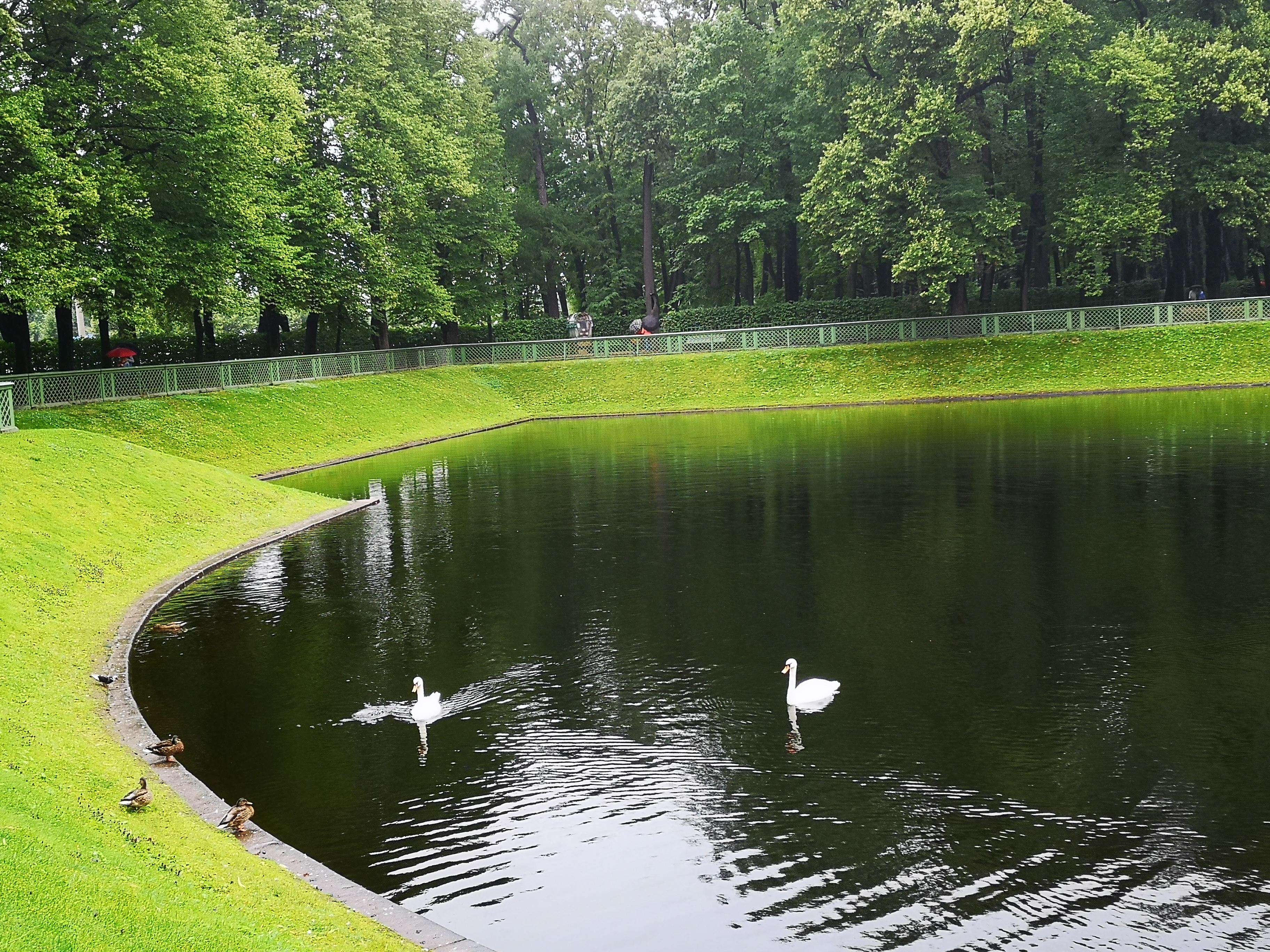 鑾柉绉戝湥褰煎緱鍫¤嚜鐢辫,鍦ｅ郊寰楀牎淇勭綏鏂嚜鐢辫