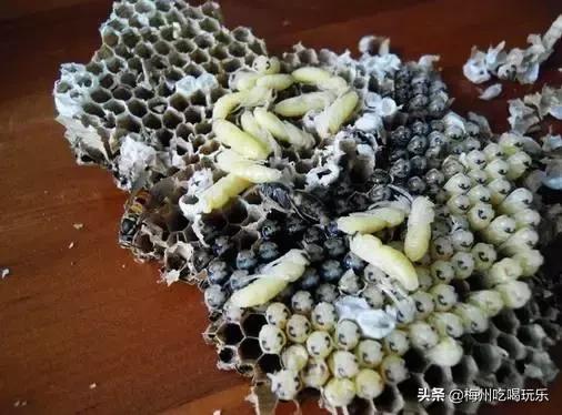 听说梅州人口味这么重，我上去就是一巴掌