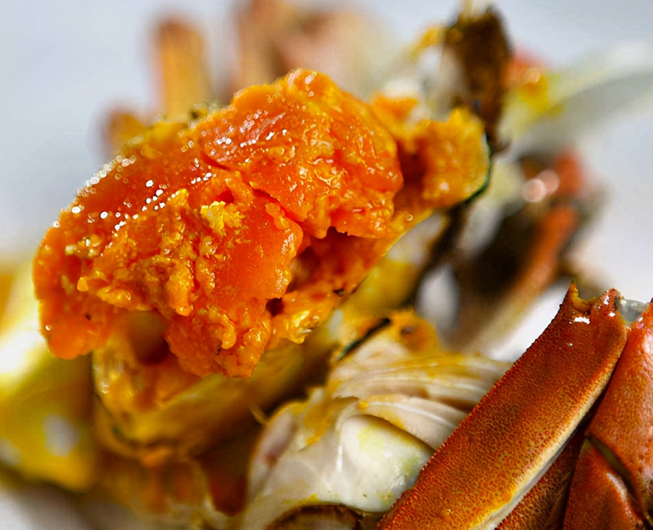 蟹粉牛筋花胶,蟹粉鱼肚的正宗做法