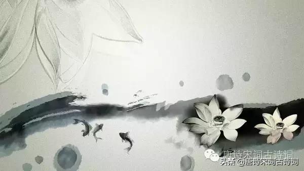 咏荷出淤泥而不染,出淤泥而不染荷韵