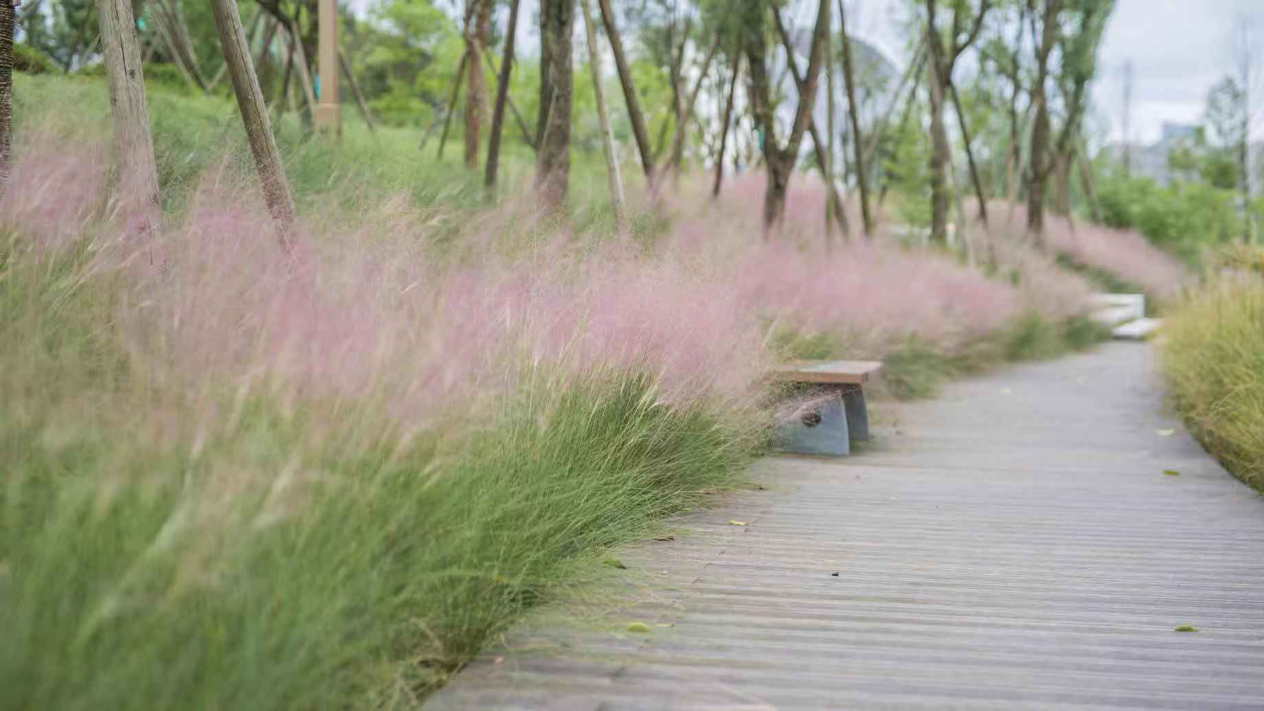 成都小众旅游地方推荐,成都小众景点推荐