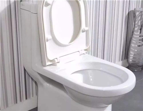 马桶圈坐裂了什么预兆,马桶座圈开裂补救方法