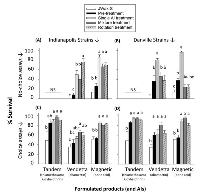 你家的蟑螂多吗,你家的蟑螂再嚣张也躲不过这一招