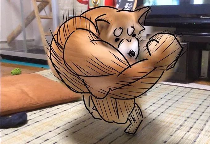 *兽禽**们搞起比利来有多“骚”？