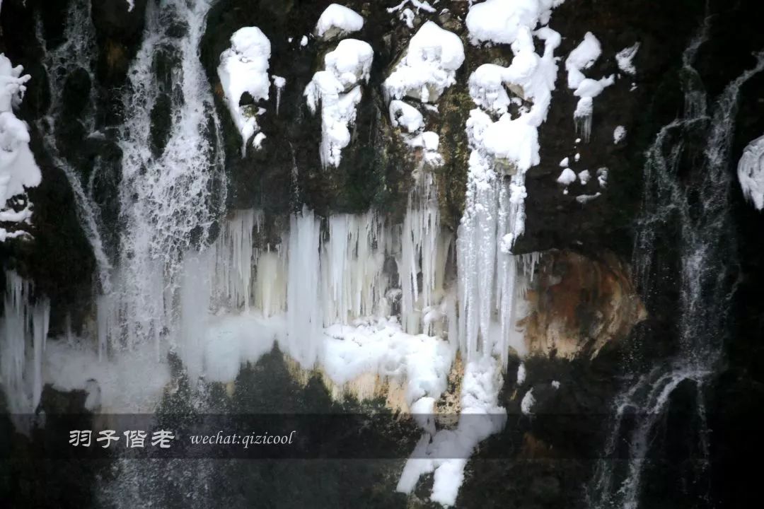 不会日语日本自由行好吗,不会日语的北海道自由行攻略