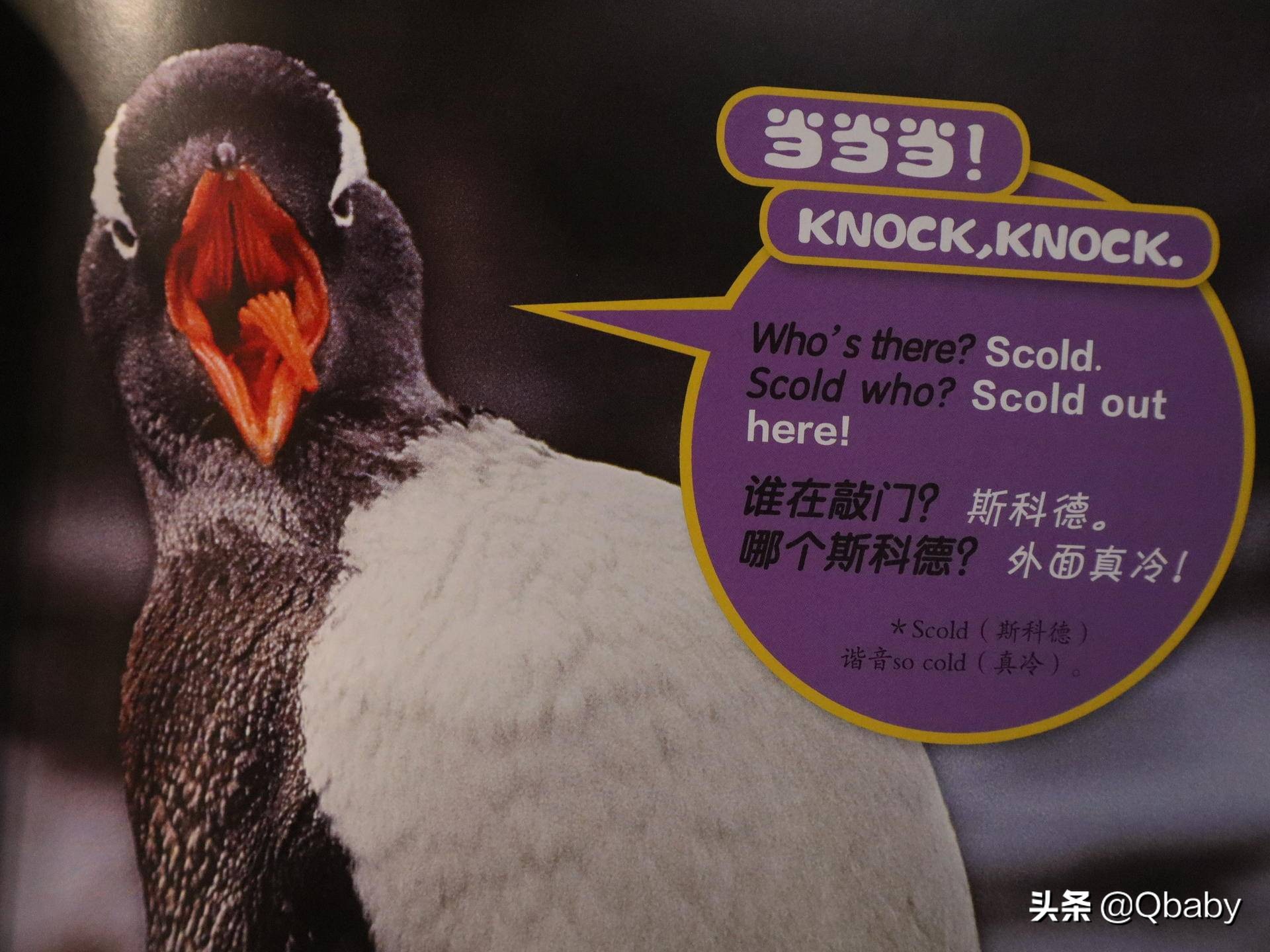 好书推荐一起玩吧绘本故事,康康绘本100本