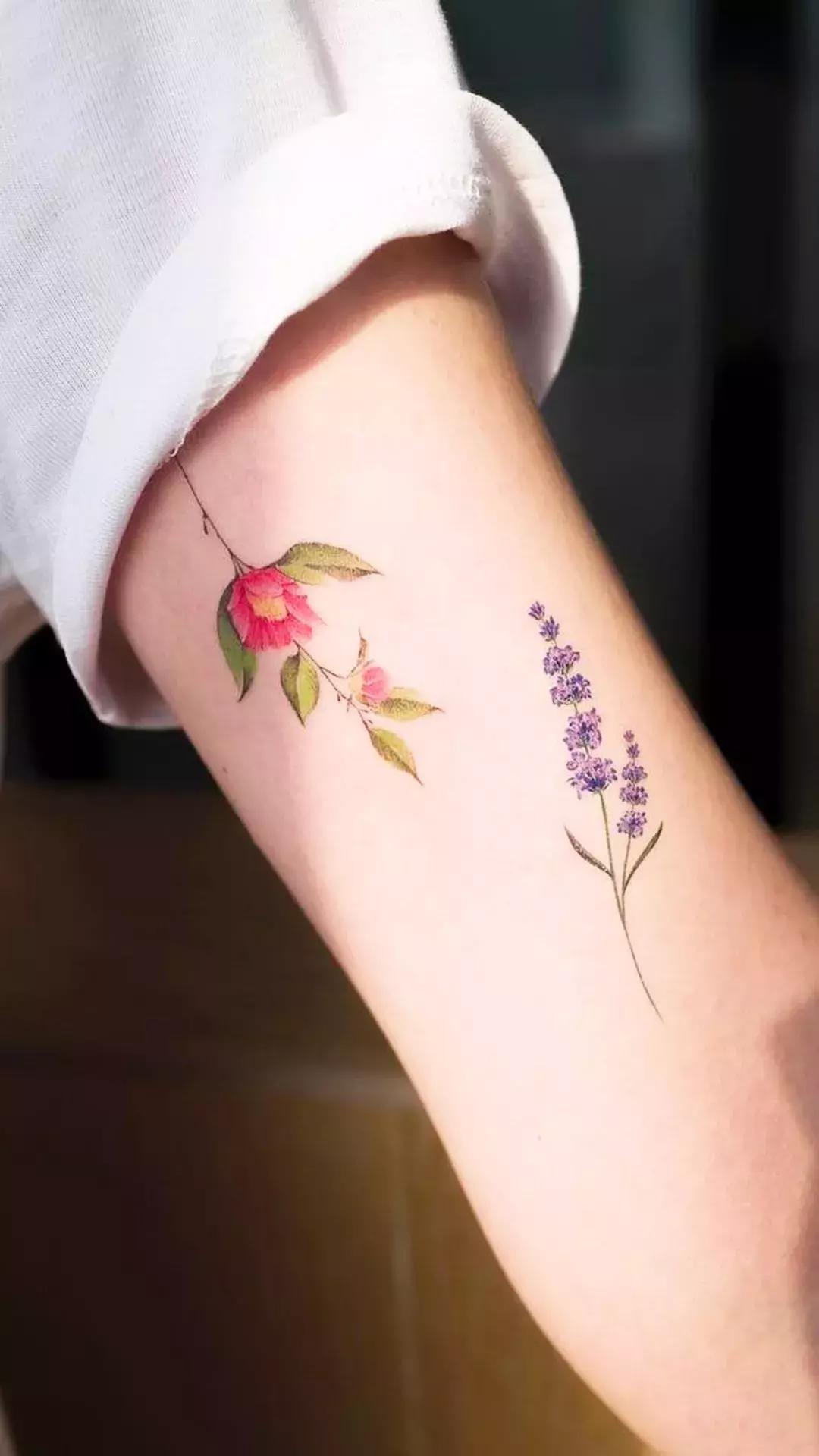 壁纸控超清壁纸,壁纸控wallpaper