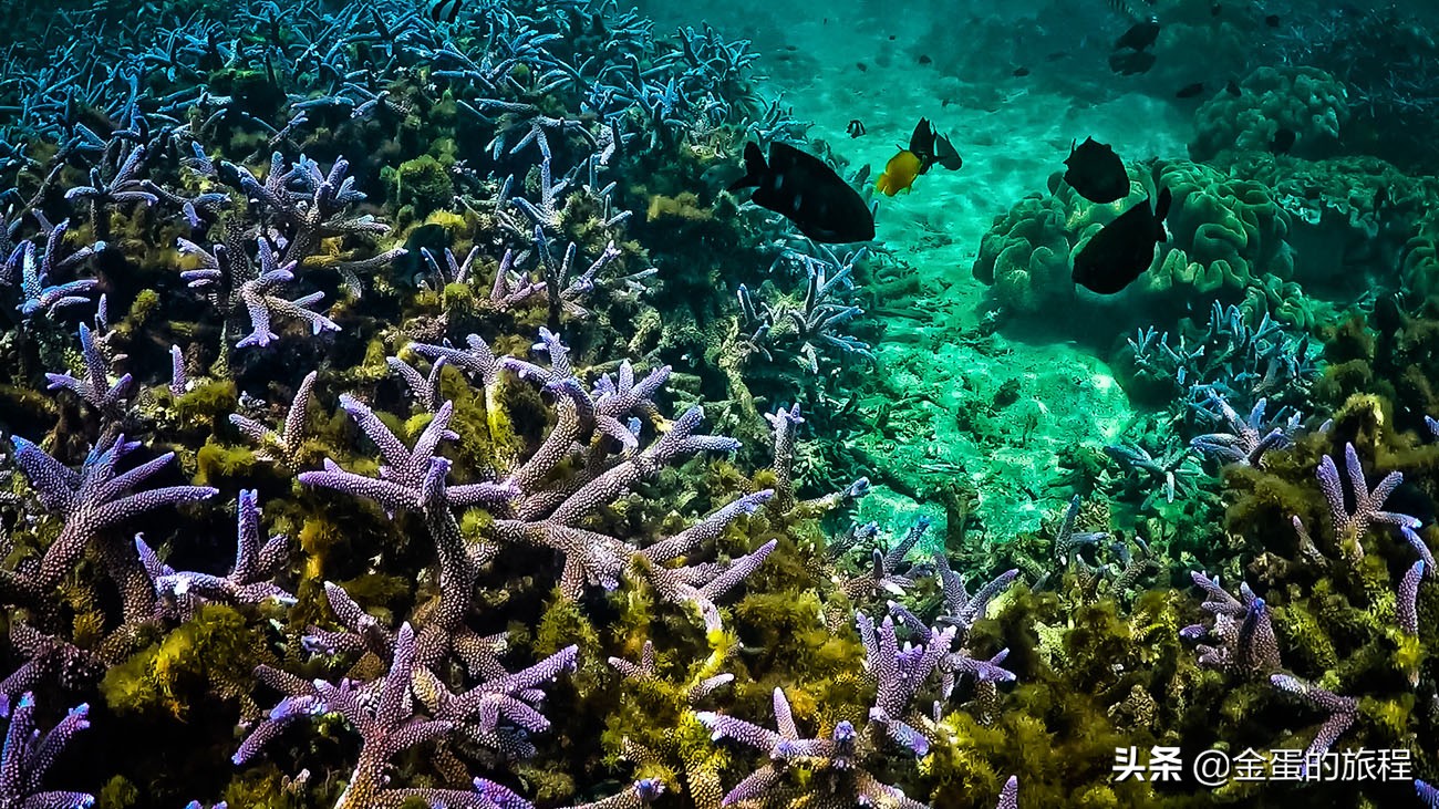 台湾海岛澎湖列岛介绍,台湾最美澎湖列岛岛屿