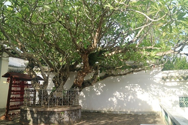 领略海口美丽风光，尝尽海口的各种美食