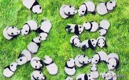 100个历史冷知识你可能从未听闻,10则历史冷知识