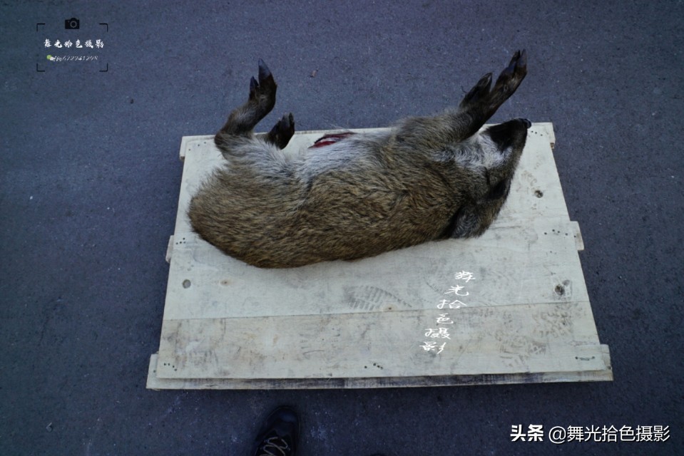 行走在沈丹线‖本溪市与丹东市交界：草河口-通远堡徒步