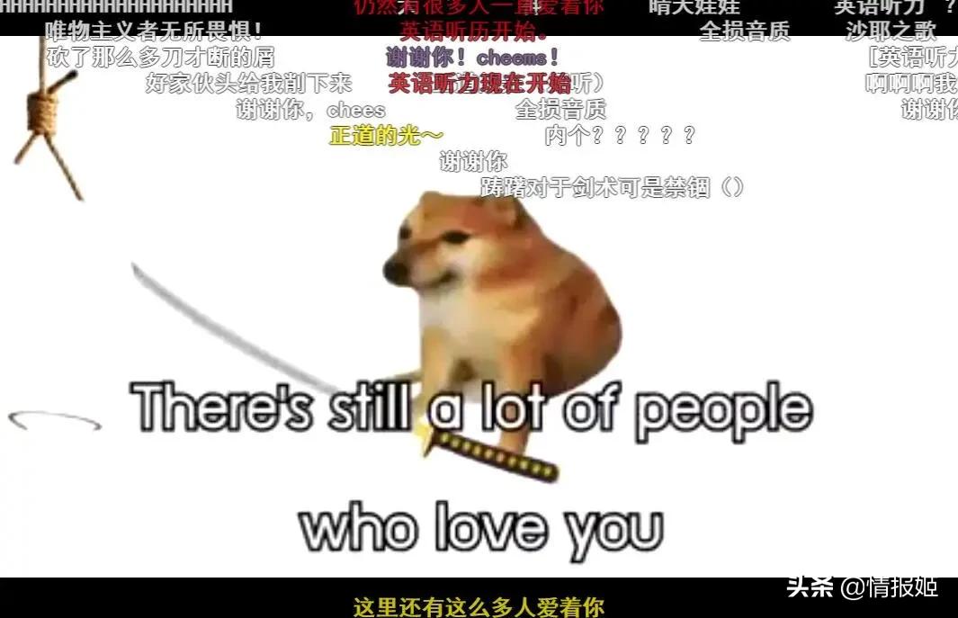 被做成表情包的柴犬doge,doge柴犬表情包万恶之源