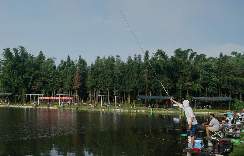 钓鱼为什么要那么多太空豆,太空豆如何钓鱼