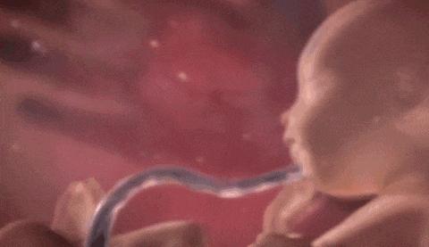 孕妈们胎儿脐带绕颈不要慌,脐带绕颈一般发生在多少周