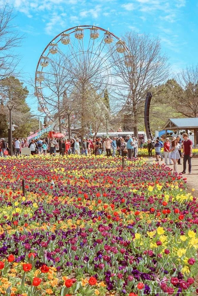 澳洲堪培拉景色,澳洲堪培拉动物园
