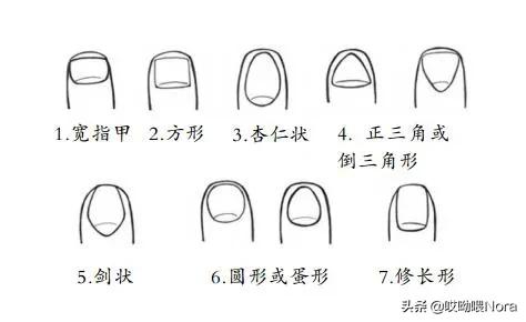 指甲所有款式,指甲全色系推荐