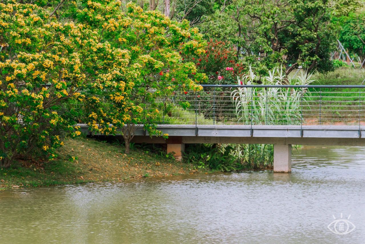 深圳地铁7号线有什么好玩的,深圳地铁十四号线游玩攻略