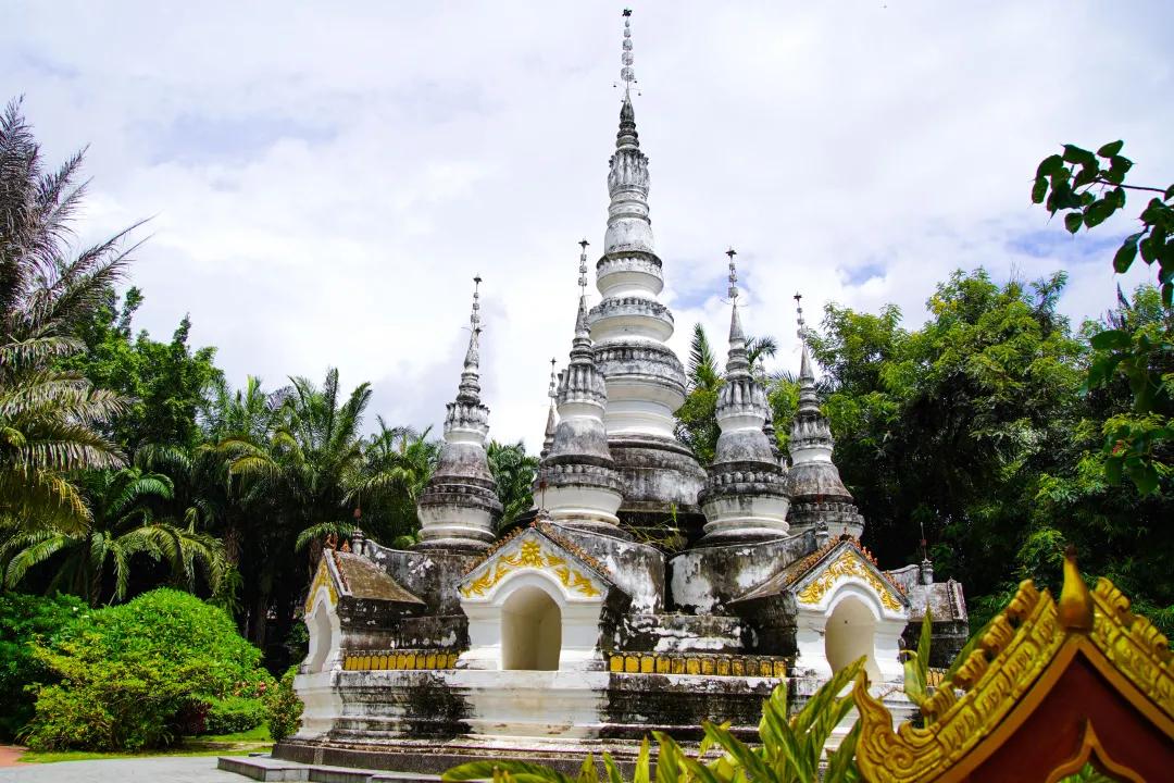 打卡中老铁路,曼听公园网红打卡景点