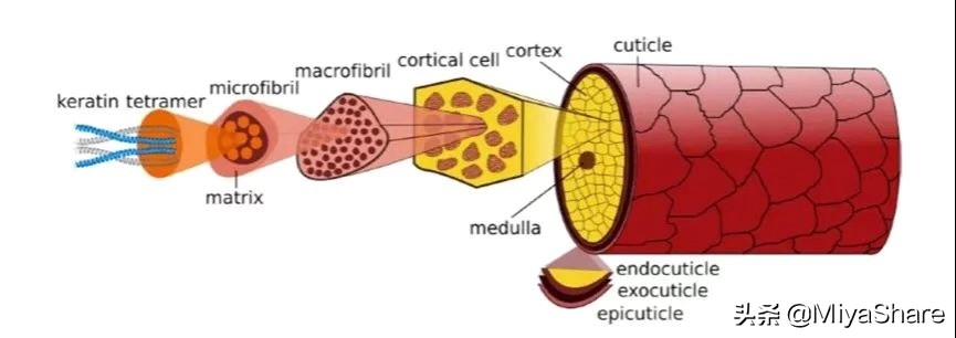 秋冬怎么减少头屑,头屑多的像下雪怎么洗