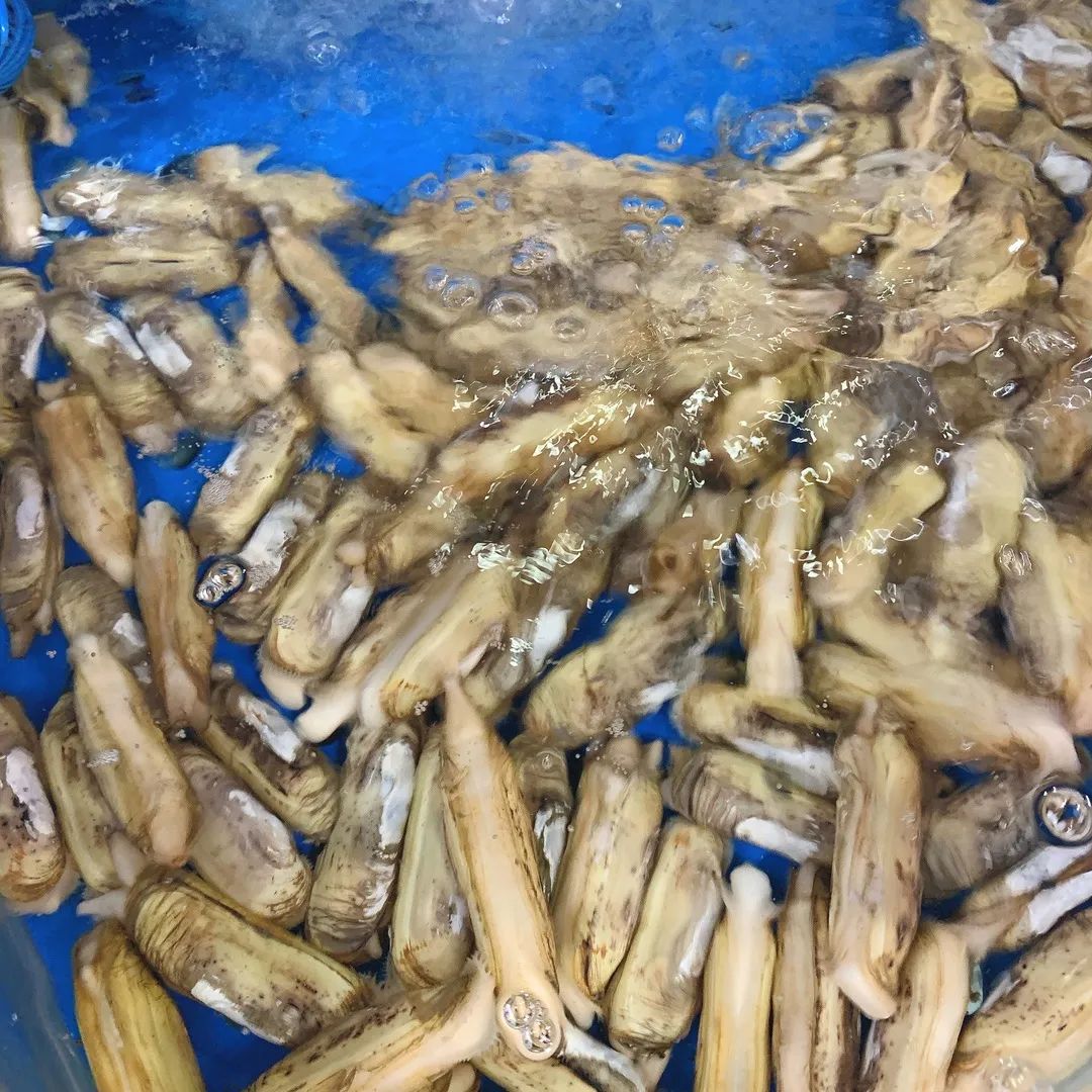 鞍山海鲜烧烤,鞍山最大大排档