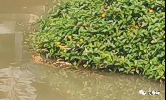 泰国一人行芭提雅旅游攻略,一人行芭提雅旅游攻略