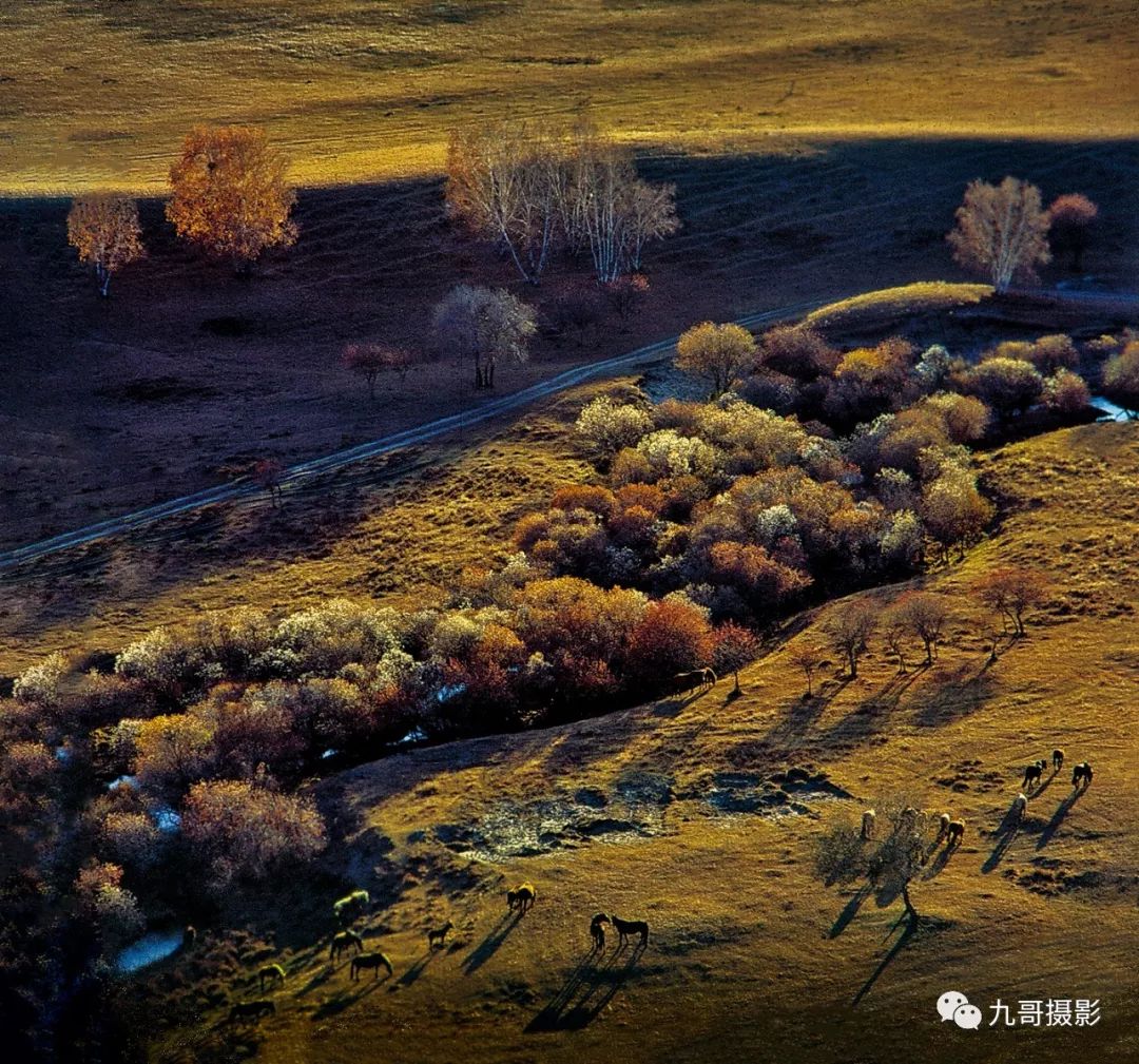 大美坝上草原全景,大美坝上风光系列之一