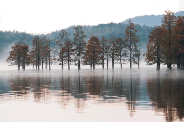 亲子旅游必备神器清单,亲子旅行攻略详细资料大全