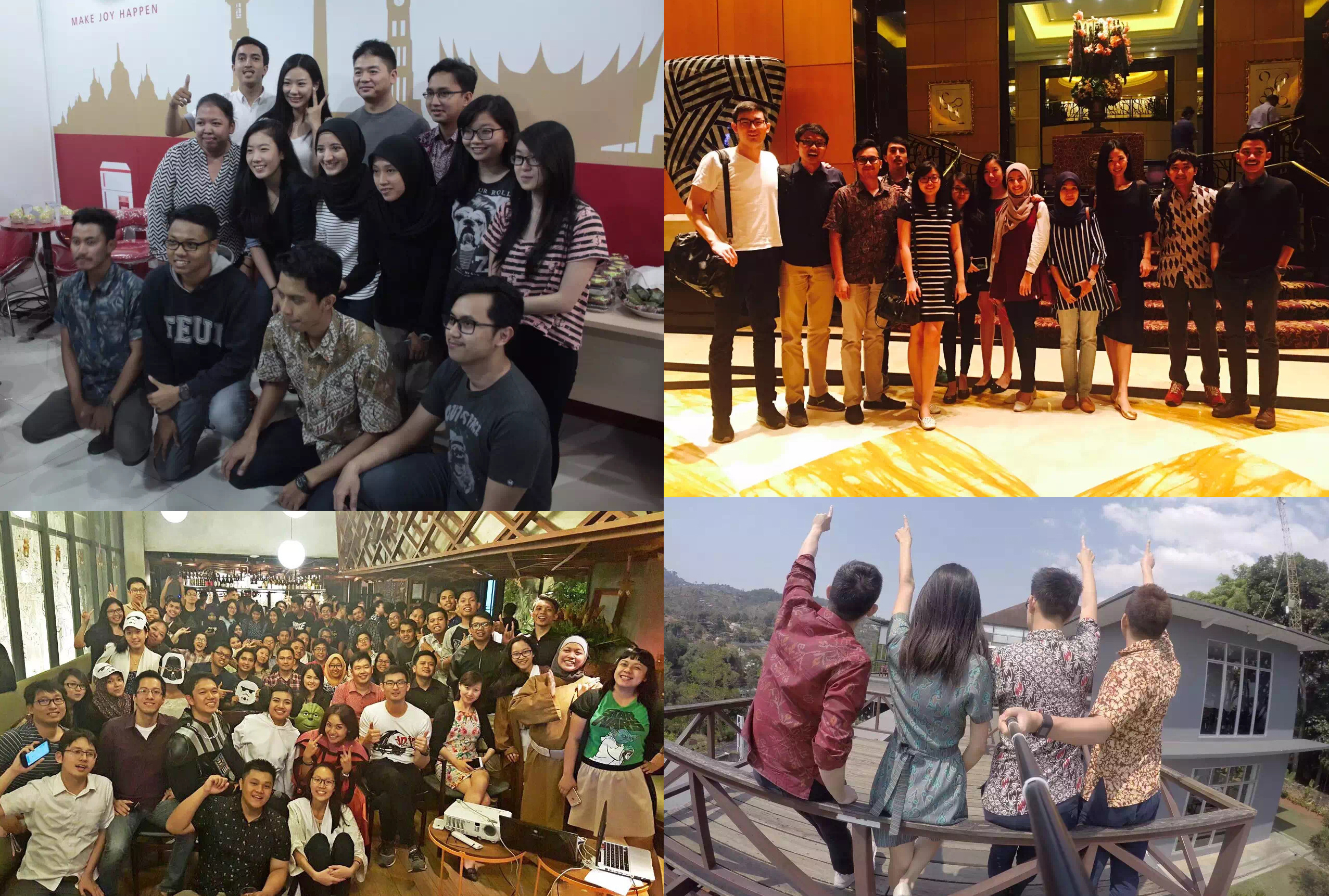 红毛猩猩pongo公司,红毛猩猩pongo怎么样