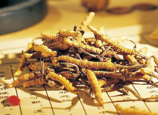 传说中的羊,传说中的动物有哪些是真实存在的