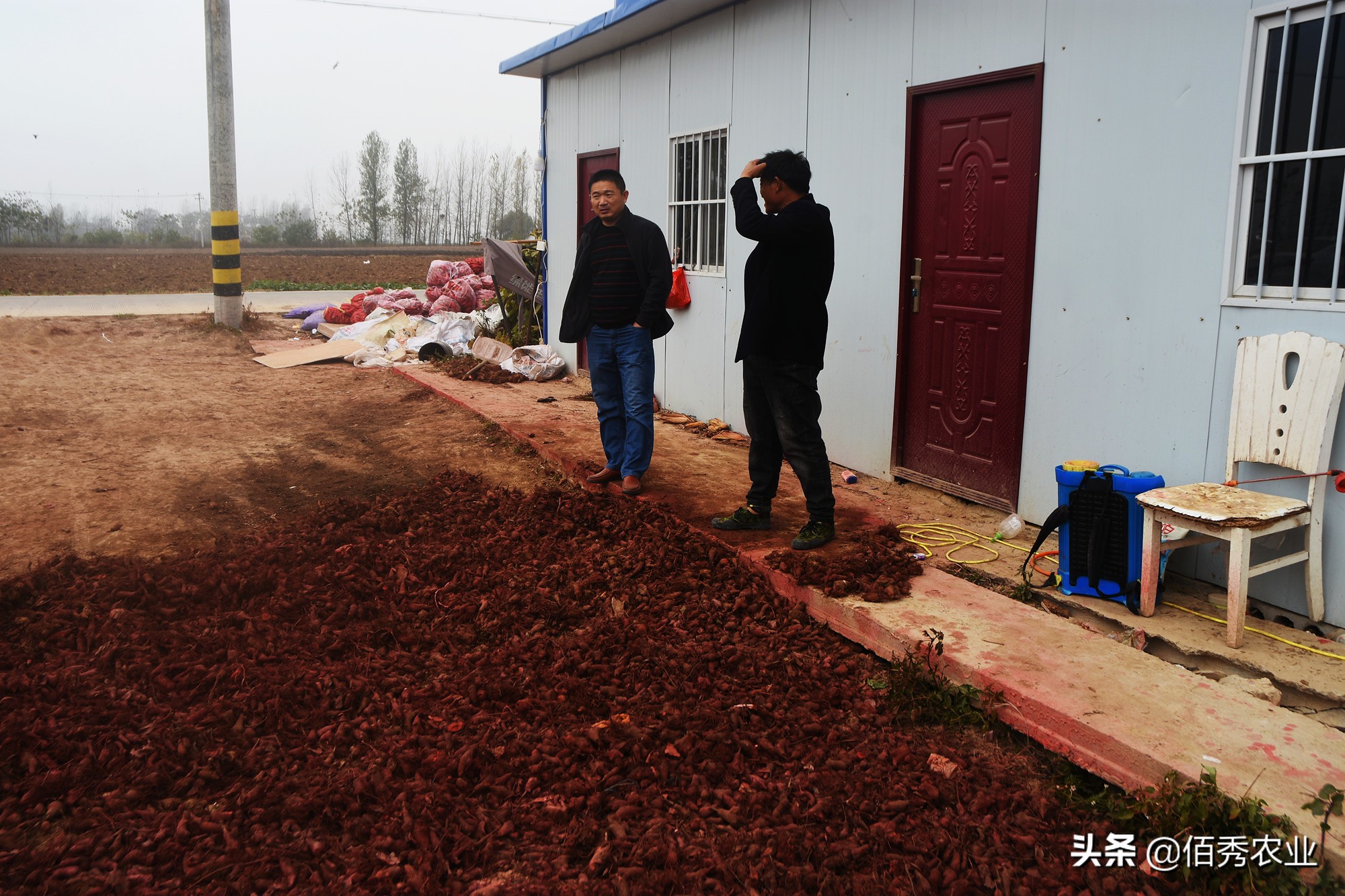 种植中药材背后的暴利的骗局,中药材种植致富经历